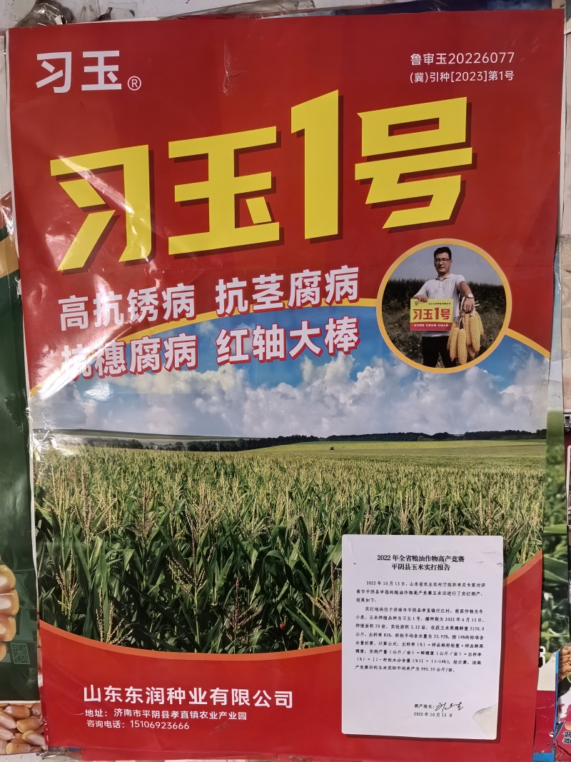 高抗锈病抗茎腐病抗穗腐病粉红轴大棒习玉一号