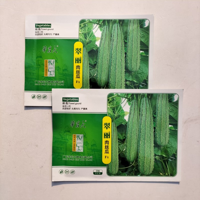 翠丽肉丝瓜种子早熟高产抗病耐雨水花点杂交厚肉春秋棱丝瓜
