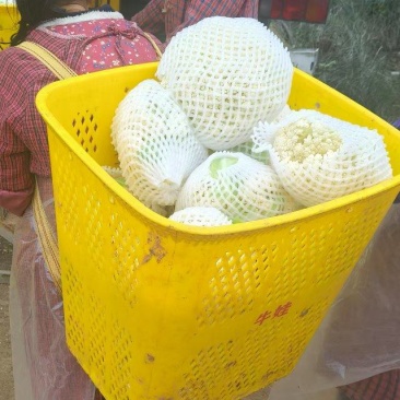 松花菜，花椰菜，产地直发，专业散花菜代发代办很多年