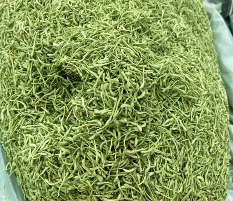 产地货源精品金银花，粒粒饱满，口感清香，色泽鲜艳！