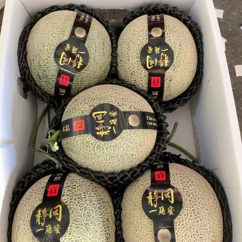 海南产地网纹瓜大量现货供应，规格齐全，可视频看货