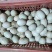 湖南郴州永兴，丝壳蛋批发，裂纹蛋批发，欢迎咨询