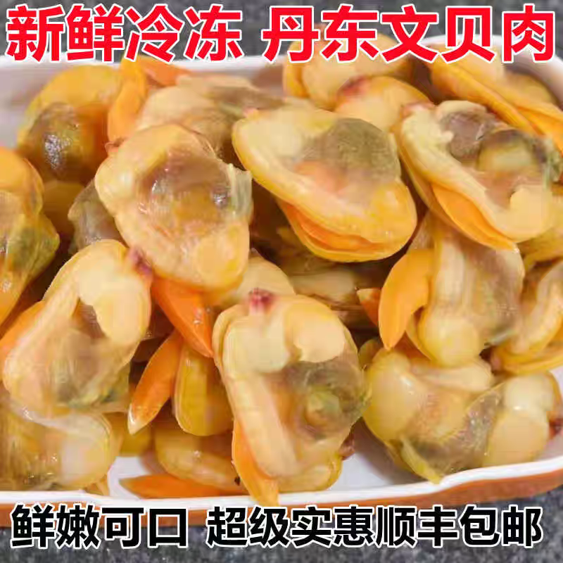 丹东特产大文贝肉文贝干鲜活速冻无沙个大肉肥可即食鲜香