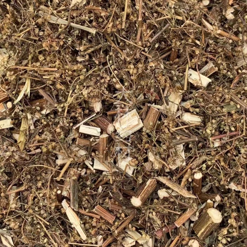 青蒿【包邮】三斤起发货可批量可零售量大从优