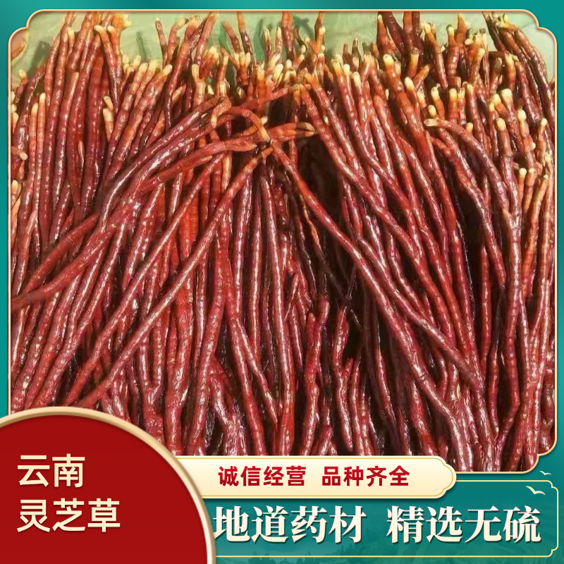 云南中药材灵芝草鹿角灵芝精选包邮