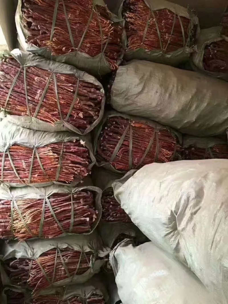 云南中药材灵芝草鹿角灵芝精选包邮