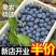【超值蓝莓】京东新鲜蓝莓大果孕妇当季云南蓝莓新鲜一整箱批发