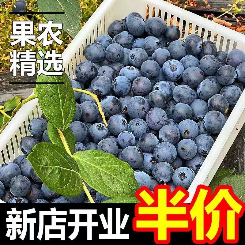 【超值蓝莓】京东新鲜蓝莓大果孕妇当季云南蓝莓新鲜一整箱批发