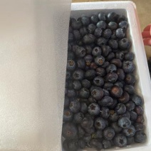 【京东包邮】蓝莓鲜果特大新鲜水果孕妇宝宝水果怡颗