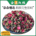 云南金边玫瑰花茶无硫烘干食用小玫瑰泡水泡茶干花原料玫瑰花