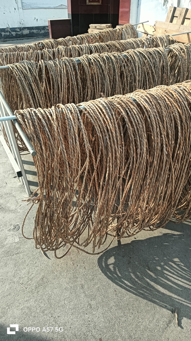 出售蒲草绳