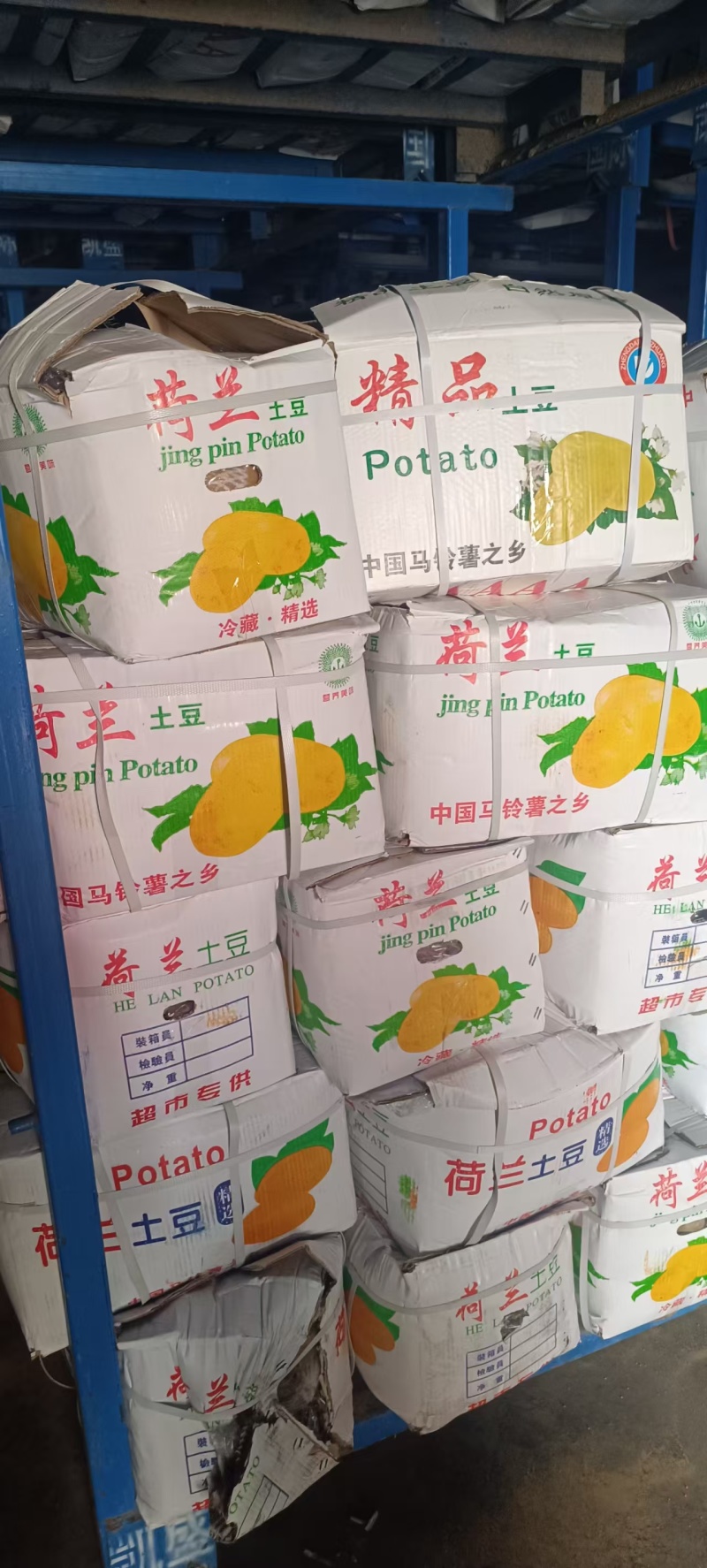 山东金乡土豆质量保证诚信经营代发全国可视频发货