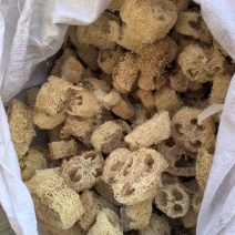 丝瓜络山东产地货源品种齐全七彩百草中药材批发