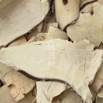 白背根【包邮】三斤起发货可批量可零售量大从优