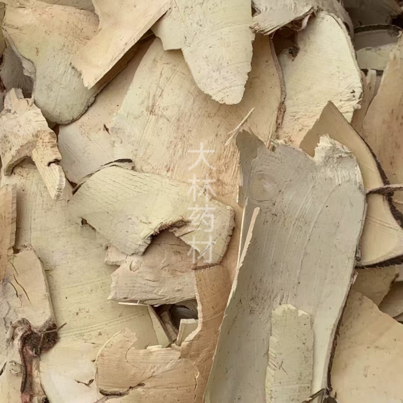白背根【包邮】三斤起发货可批量可零售量大从优