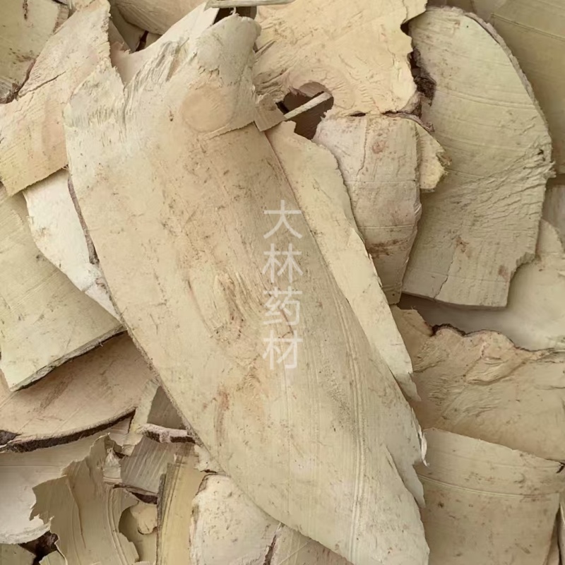 白背根【包邮】三斤起发货可批量可零售量大从优