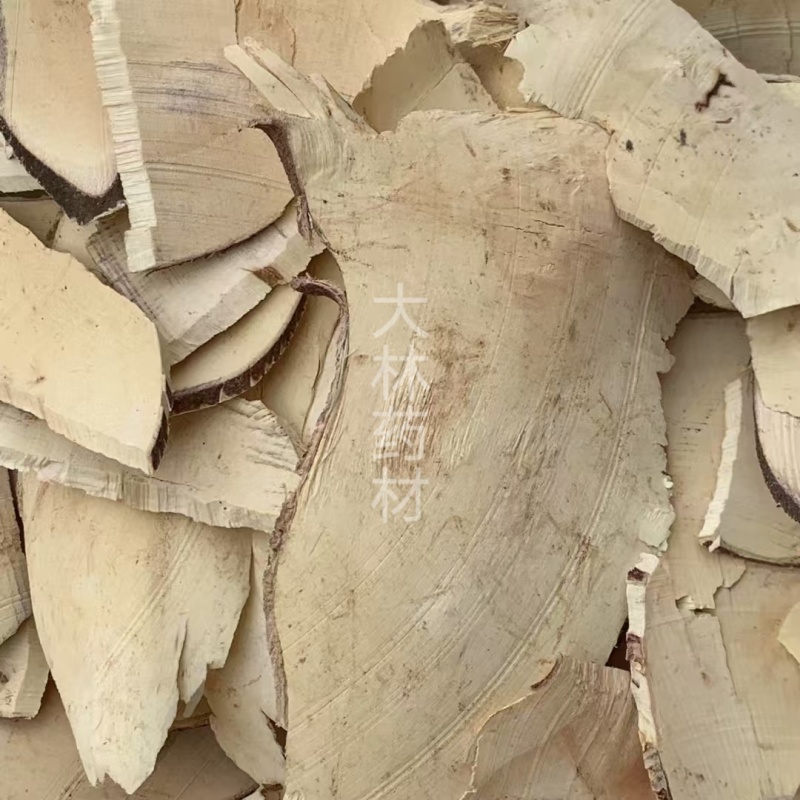 白背根【包邮】三斤起发货可批量可零售量大从优