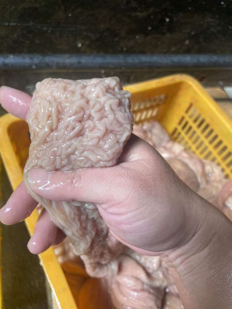 新鲜牛肠