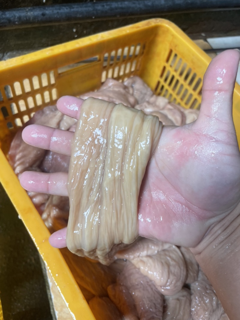 新鲜牛肠