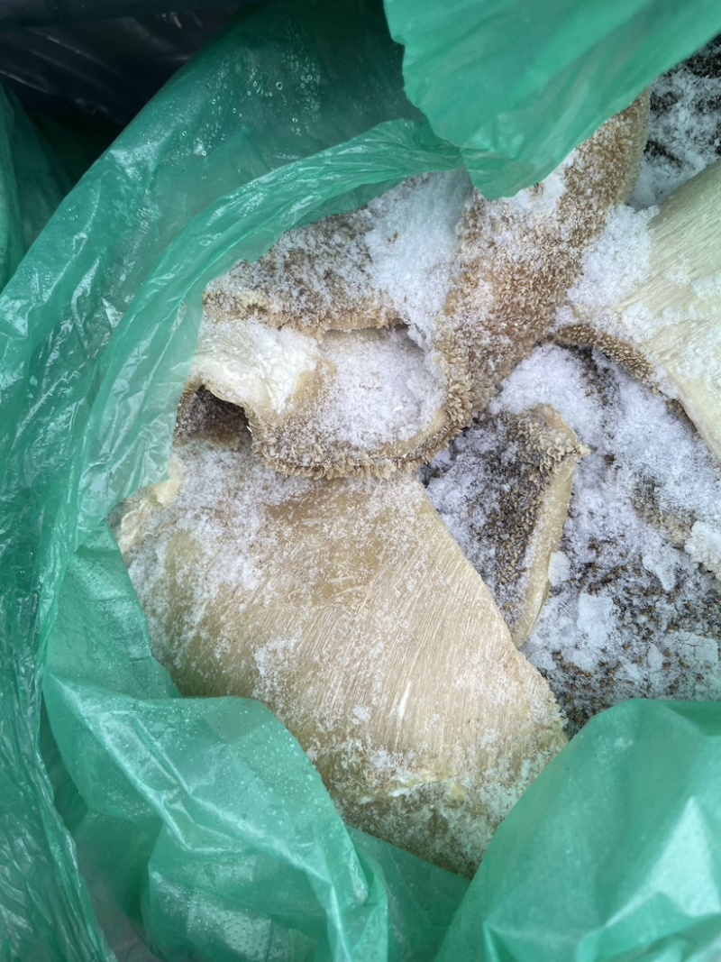 飞水新鲜牛肚片