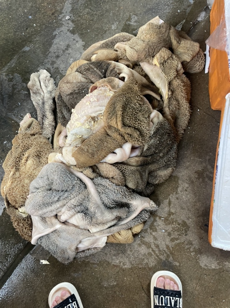 长期供应牛肚，碎肚片，颜色不定，日日新鲜货源，一定是新鲜
