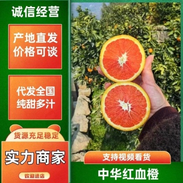秭归中华红血橙挂树鲜果，自家果园无中间商，质量有保证