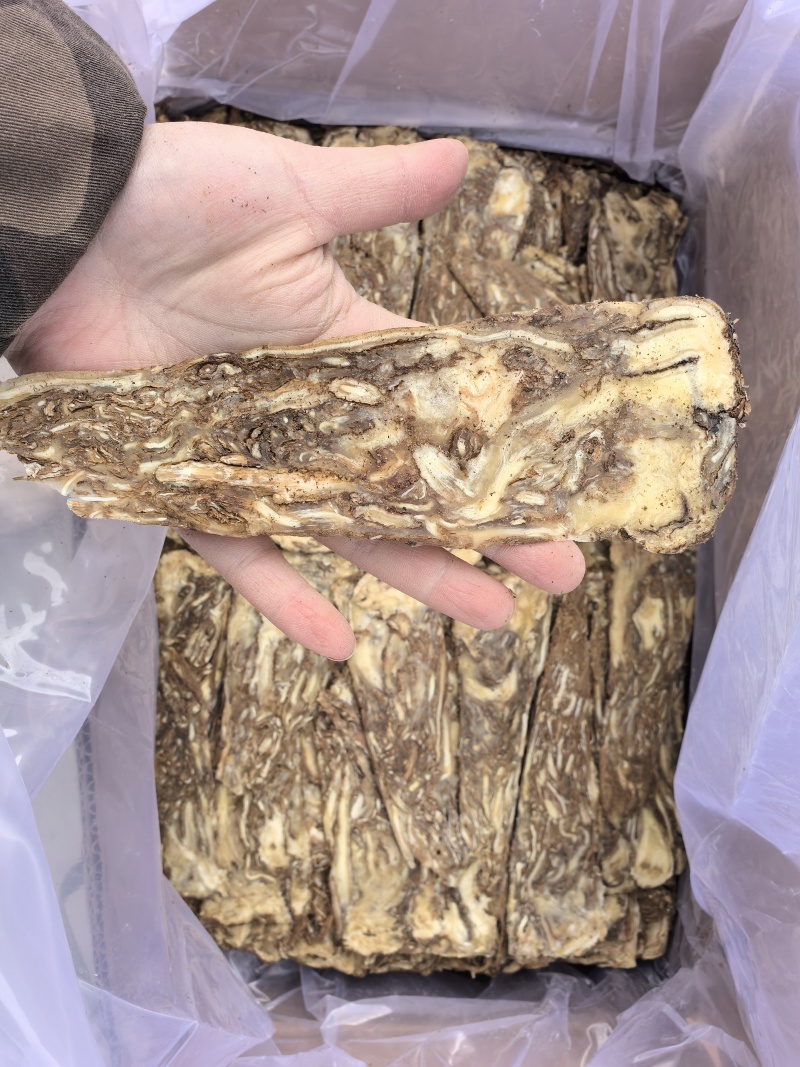 当归佛手片当归压片当归佛手中心片多种规格甘肃产地货源