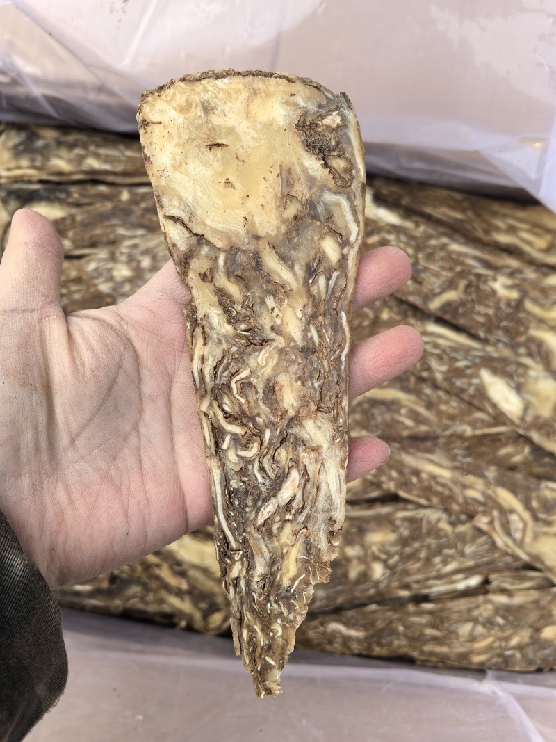 当归佛手片当归压片当归佛手中心片多种规格甘肃产地货源