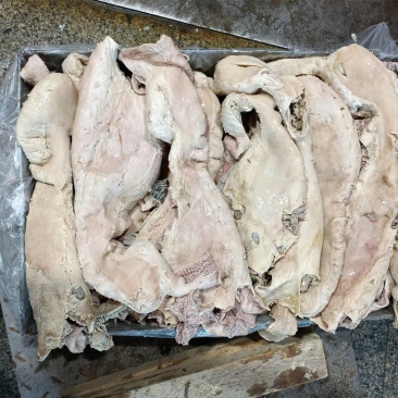 牛散肚