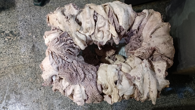 牛散肚