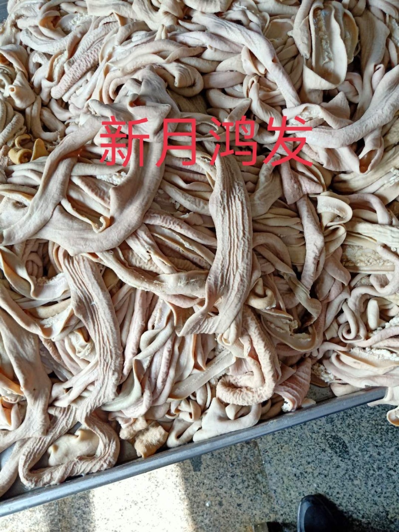 牛大小肠
