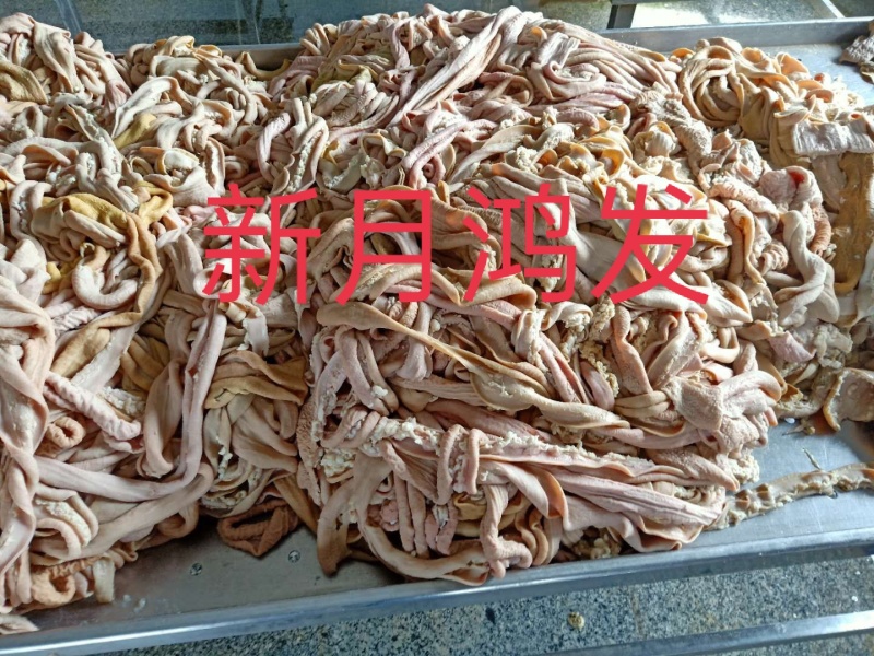 牛大小肠