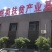 批发纯蛇油，蛇油膏，养殖基地自产直销