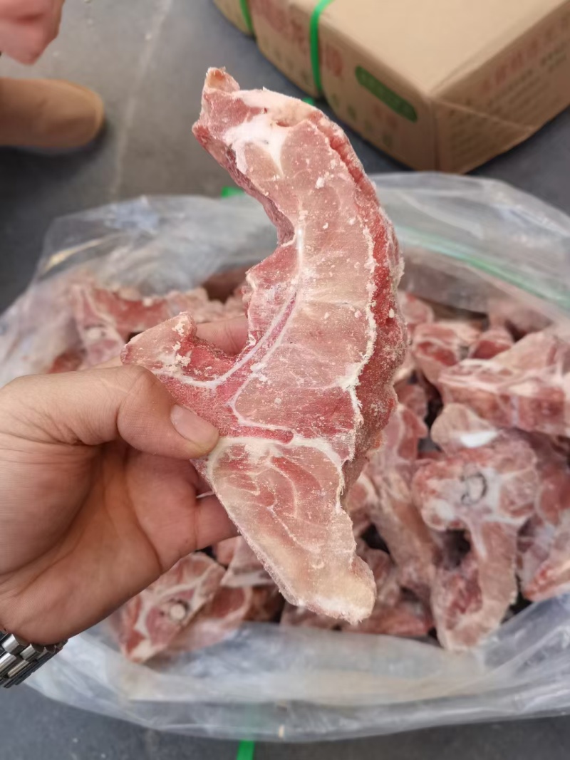 猪龙骨