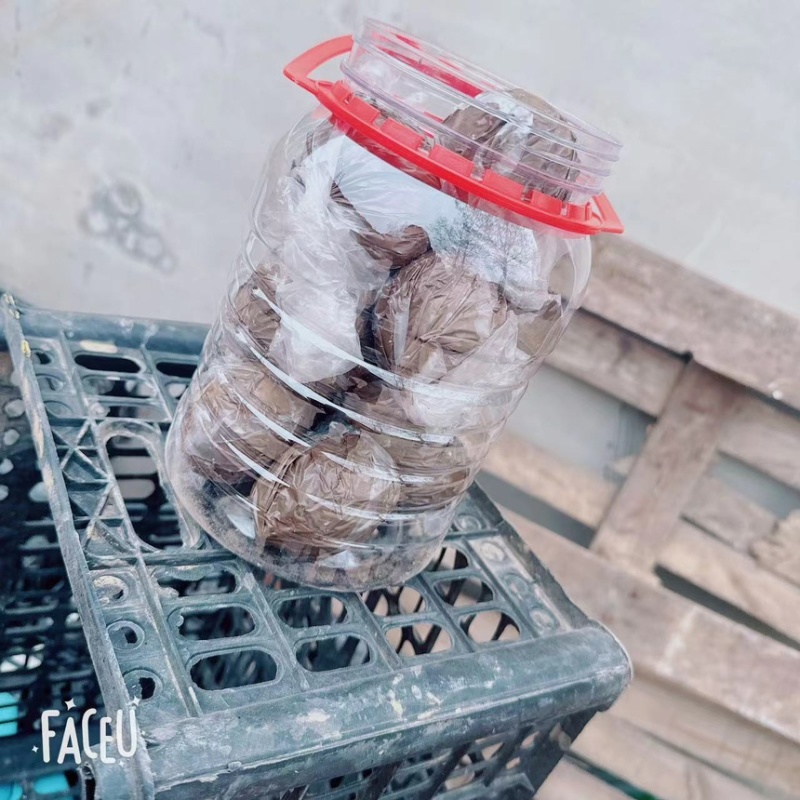 泥大偏黄，散黄鸭蛋赶大集