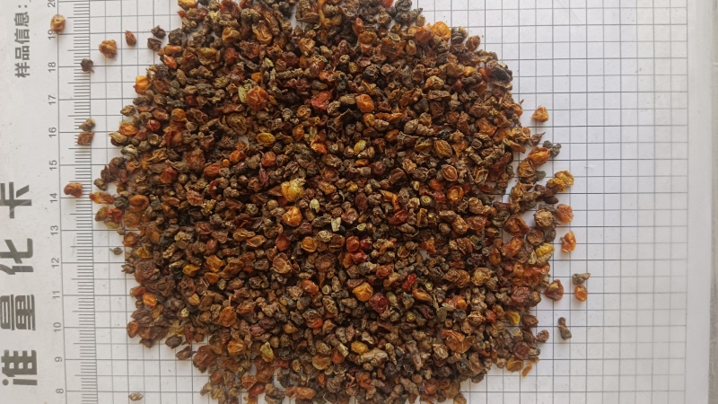沙棘，沙棘果，新货产地直发，实拍现货，无硫24小时内发货