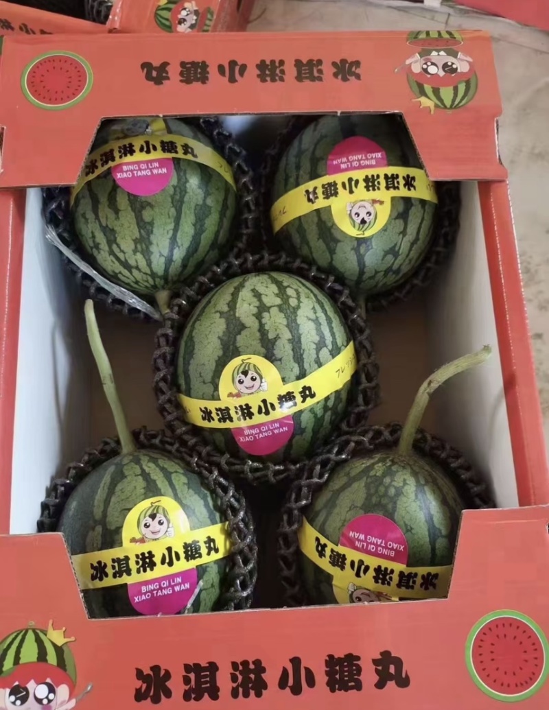 2k小糖丸吊秧西瓜薄皮一手货源精品供应商超实力档口批发