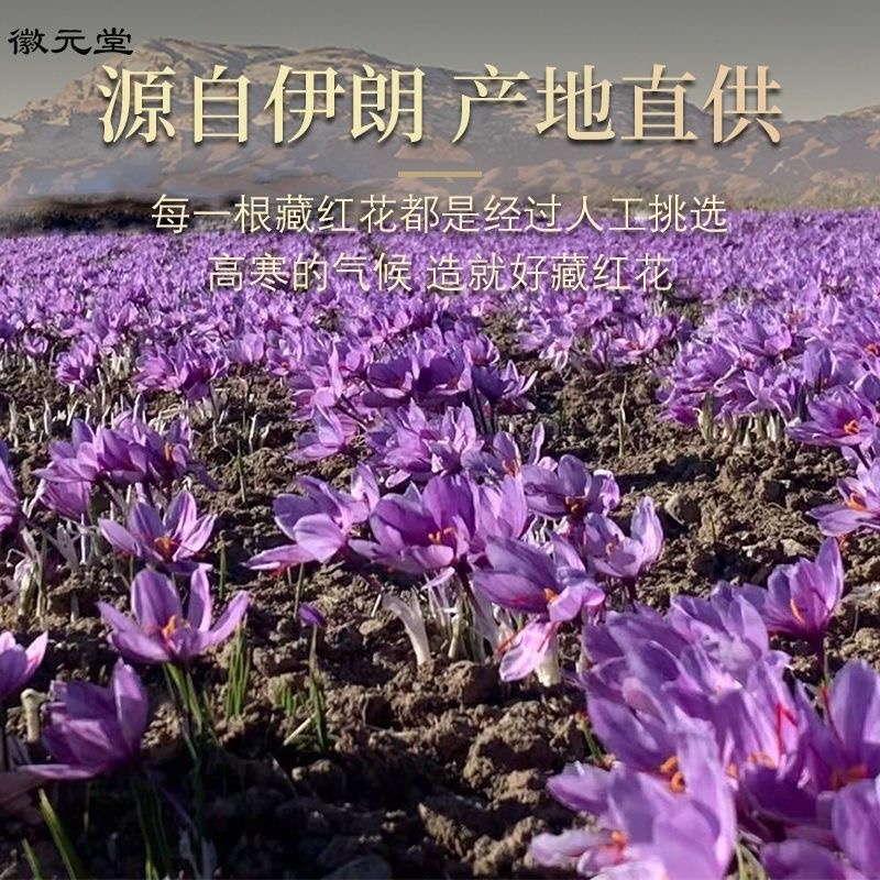 正品特级藏红花特长丝正宗真品天然野生头茬新货