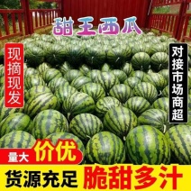 【产地直销】精品甜王西瓜。糖度14个。一手货源，代发全国