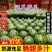 【产地直销】精品甜王西瓜。糖度14个。一手货源，代发全国
