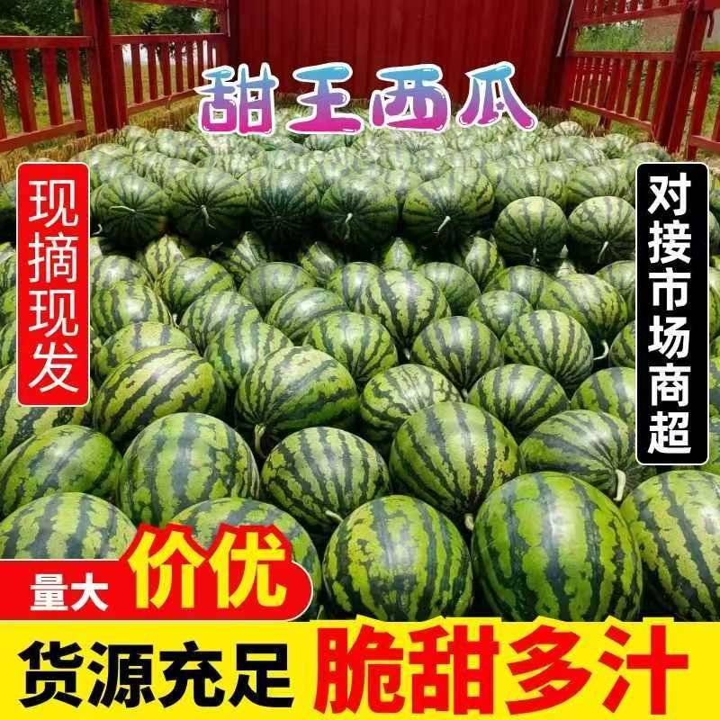 【产地直销】精品甜王西瓜。糖度14个。一手货源，代发全国