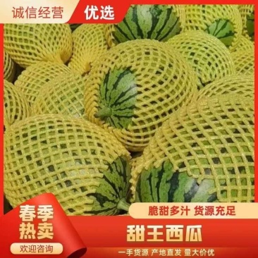 【产地直供云南甜王西瓜直生苗双红壤糖度高