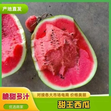 【产地直供】陕西甜王西瓜直生苗双红壤糖度高