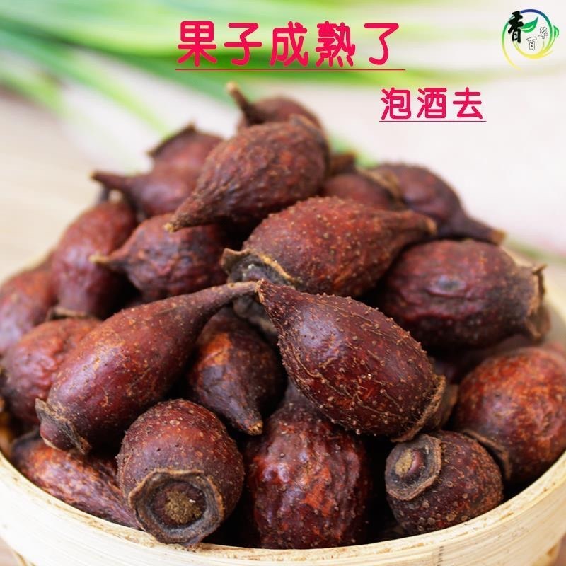 中药材金樱子三蒸三晒金樱子干肉泡酒材料