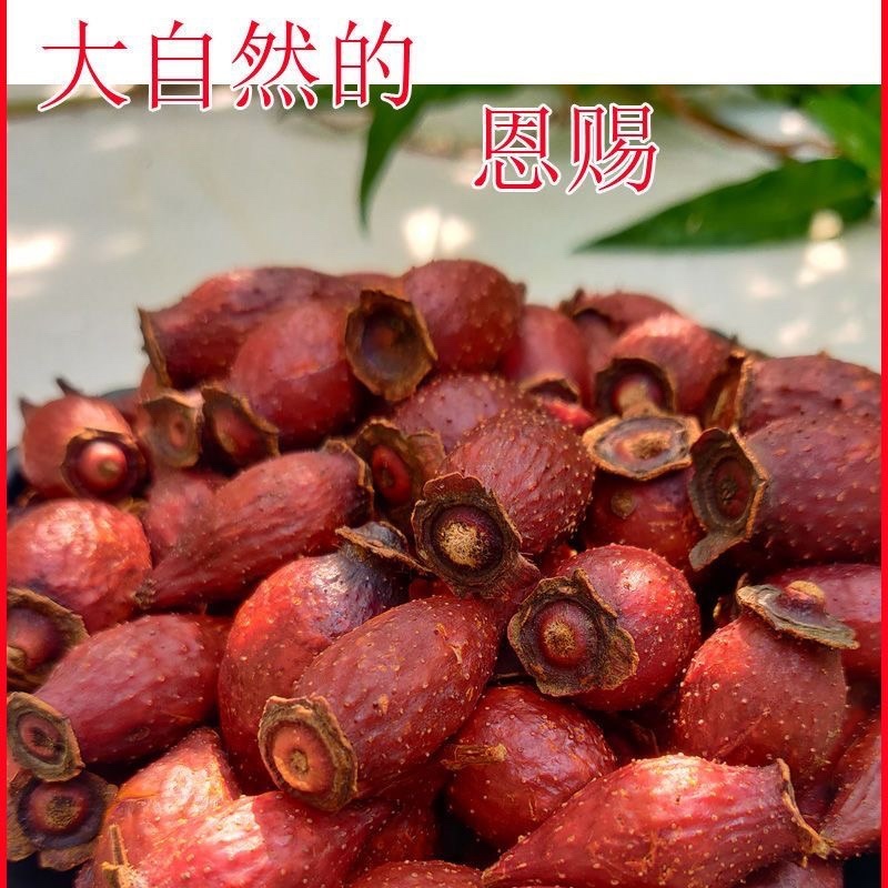 中药材金樱子三蒸三晒金樱子干肉泡酒材料