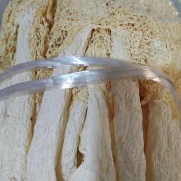 福建省古田县食用菌之都