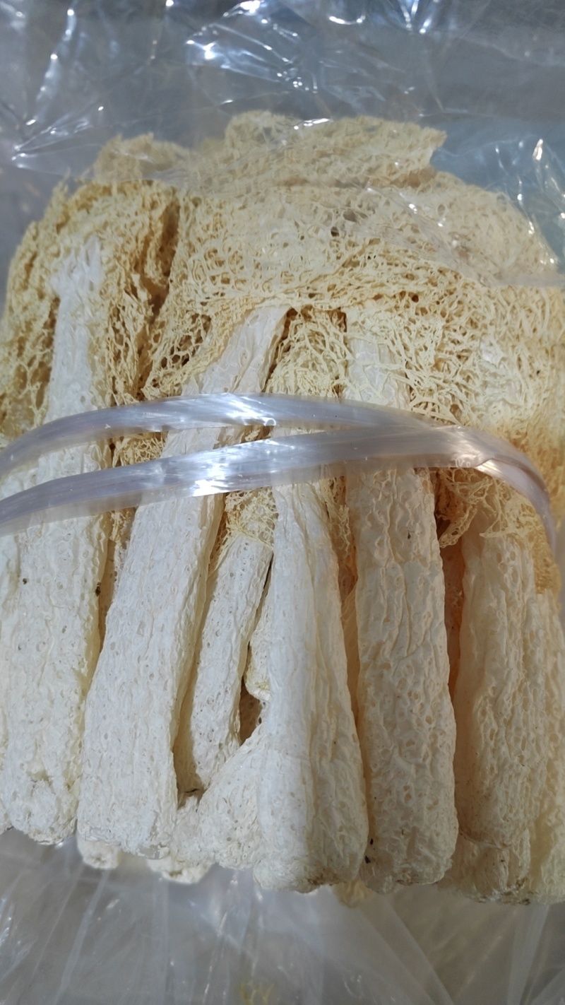 福建省古田县食用菌之都