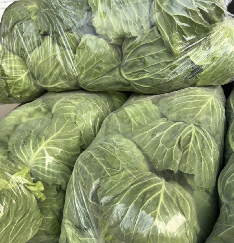 徐州甘蓝。包菜，支持各种规格一手货源，代发全国。质量保证