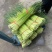 河南周口万亩精品鲜蒜苔红帽蒜薹一手货源无水分