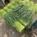 河南周口万亩精品鲜蒜苔红帽蒜薹一手货源无水分